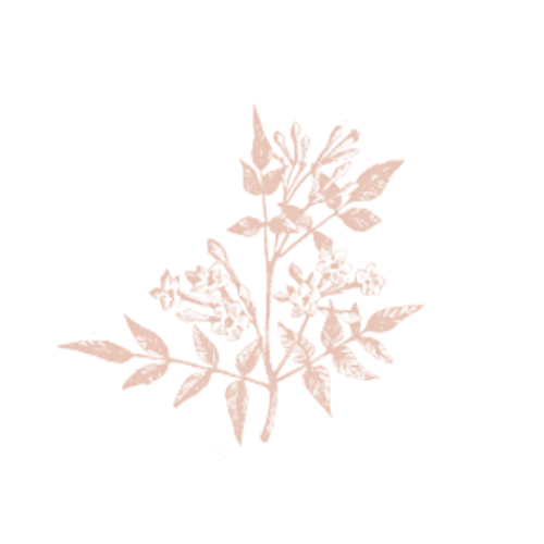 jas flower trans